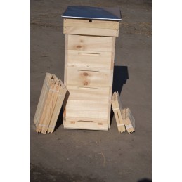 Ul dadant 10 r wejmutka pilnas variantas su rėmeliais