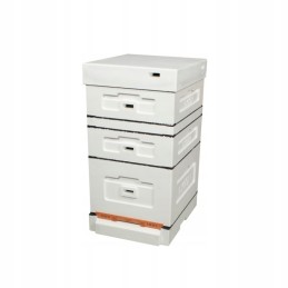 Dadant avilys su higienišku dugnu, nedažytas