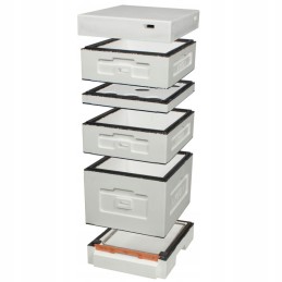 Dadant avilys su higienišku dugnu, nedažytas