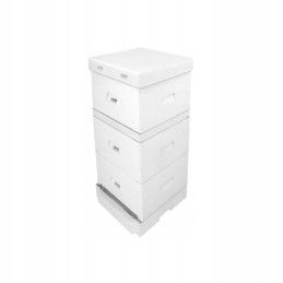 Ostrowska avilys aukštu dugnu, nedažytas