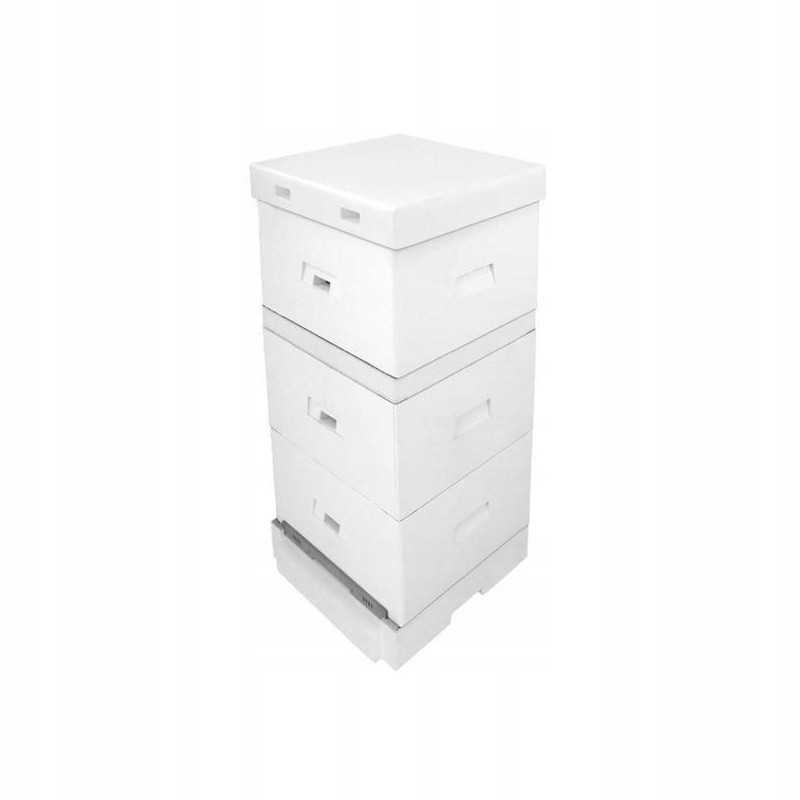 Ostrowska avilys aukštu dugnu, nedažytas