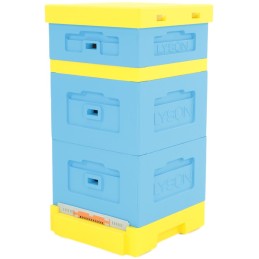 Siūlome UL WIELKOPOLSKI 10 rėmelius - LABAI GERAI!