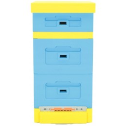 Siūlome UL WIELKOPOLSKI 10 rėmelius - LABAI GERAI!