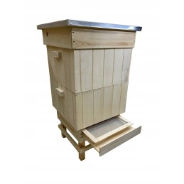 Wielkopolska medinis avilys, apšiltintas, 10 rėmų, 2 korpusai