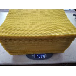 Bičių gyvatė 5 kg