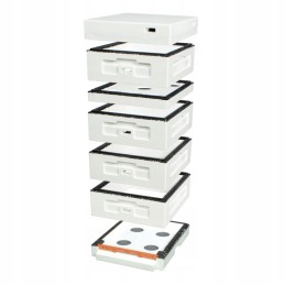 Avilys dadant 1/2 žemu dugnu - nedažytas