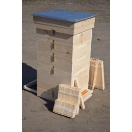 Ul dadant 10 r wejmutka pilnas variantas su rėmeliais