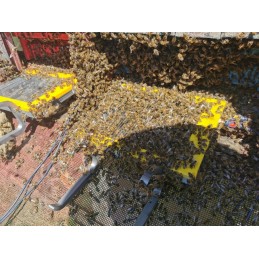 Skydas bičių nuodams rinkti 2vnt