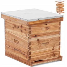 Langstroth bičių avilys, medinis, 10 rėmų, 2 korpusai, pagrindas