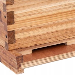 Langstroth bičių avilys, medinis, 10 rėmų, 2 korpusai, pagrindas