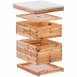 Langstroth bičių avilys, medinis, 10 rėmų, 2 korpusai, pagrindas