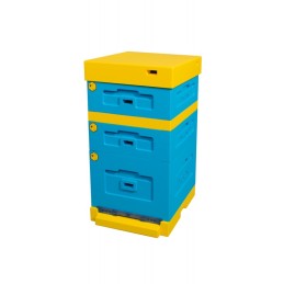 Avilio dadantas žemu dugnu (aukštu stogu)