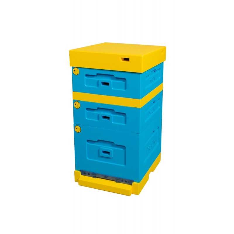 Avilio dadantas žemu dugnu (aukštu stogu)