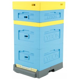 Siūlome UL WIELKOPOLSKI 12 rėmelių - LABAI GERAI!