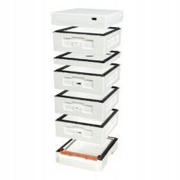 Avilys dadant 1/2 su higienišku dugnu, nedažytas