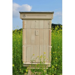 Avilys parduodamas žalias. rinkinyje yra: