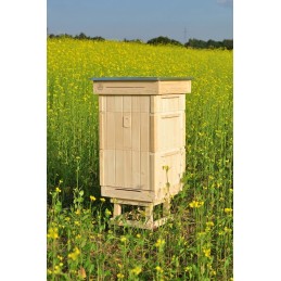 Avilys parduodamas žalias. rinkinyje yra: