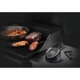 Napoleon belaidis bluetooth termometras su 2 zondais