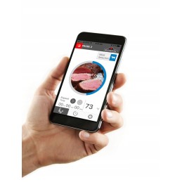 Napoleon belaidis bluetooth termometras su 2 zondais