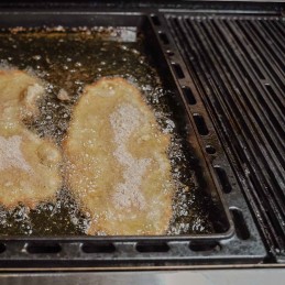 Ketaus plokštė - napoleon roque se 425/525/625 - freestyle365/425 santos