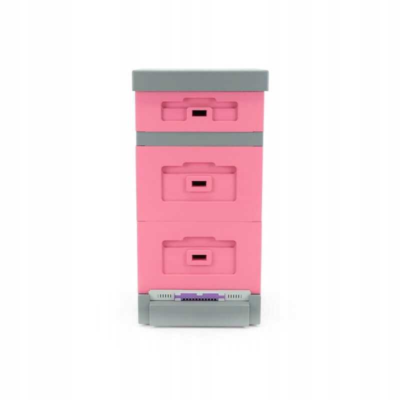 1x ul. Wielkopolski, 10 rėmelių, rožinis putplastis