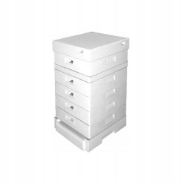 Apipol avilys su higienišku dugnu, nedažytas