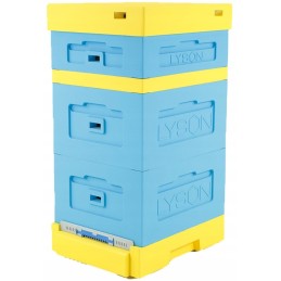 Siūlome 12 rėmų Wielkopolski gatvę - labai gerai!