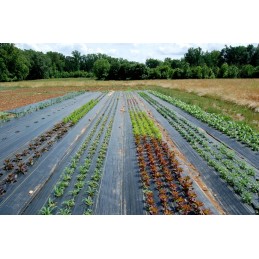 Garden's life juoda agrotekstile - didesnis gramatas (100g/m2) - ilgesnis patvarumas