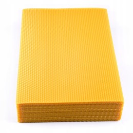 ⭐⭐BEE SNAKE WIELKOPOLSKA 5.4 – IŠBANDYTA – 5KG⭐⭐