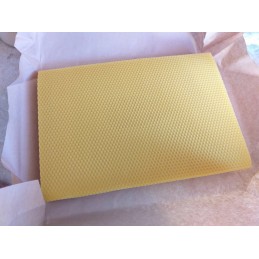 ⭐⭐BEE SNAKE WIELKOPOLSKA 5.4 – IŠBANDYTA – 5KG⭐⭐