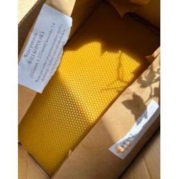 ⭐⭐BEE SNAKE WIELKOPOLSKA 5.4 – IŠBANDYTA – 5KG⭐⭐