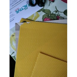 ⭐⭐BEE SNAKE WIELKOPOLSKA 5.4 – IŠBANDYTA – 5KG⭐⭐