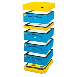 Dadant 1/2 avilys žemu dugnu, polistireniniai aviliai