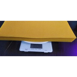 Didžiosios Lenkijos bičių gyvatė JuRajska 10kg