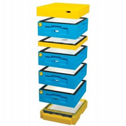 Dadant 1/2 avilys aukštu dugnu, putų polistirolo aviliai