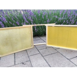 bičių gyvatė Wielkopolska Łysoń - 5 kg dėžutė