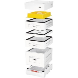 Bičių tėtis su aukštu higienišku dugnu,