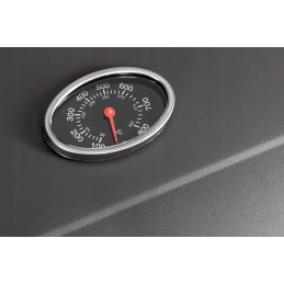 Activa Mastercook Angular anglis grilis, ketaus grotelės, priedai 11245p