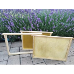 ⭐⭐Bičių gyvatė Wielkopolska Łysoń - 5 kg dėžutė⭐⭐