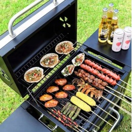 Sodo anglies kepsninė su lentynomis ir pelenų keptuve