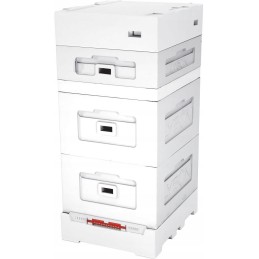 Wielkopolska 12 rėmų avilys su aukštu higienišku dugnu,