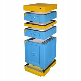 Warszawski gatvė Praplėsta žemu dugnu – dažyta