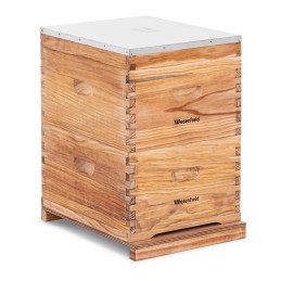 Medinis bičių avilys su metaliniu dangteliu, 10 rėmelių, 2 korpusai