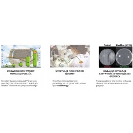 Hivealive 2000 ml (200 bičių šeimų) - stipri bičių šeima, bičių maitinimas