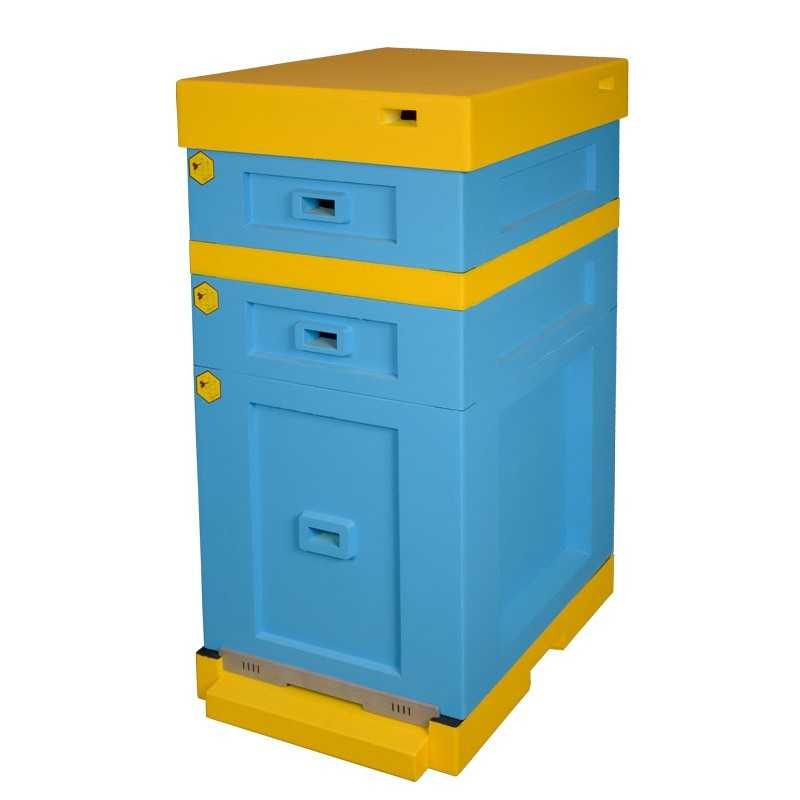 Įprastas Varšuvos avilys žemu dugnu – dažytas