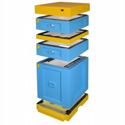 Įprastas Varšuvos avilys žemu dugnu – dažytas