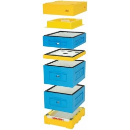 Siūlome UL WIELKOPOLSKI 12 rėmelių - LABAI GERAI!