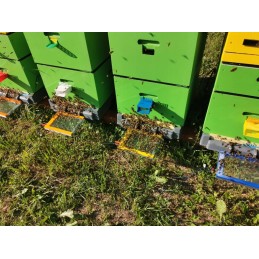 Bičių nuodų rinktuvas + 1 skydelis