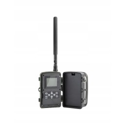 skaitmeninis fotoaparatas – fotoaparatų gaudyklė bitynui