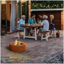 Sodo židinys - rūdžių efektas -